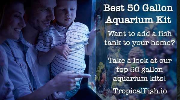 Review of Best 50-55 Gallon Aquarium Kits